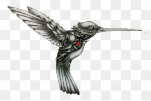 Hummingbird Tattoo, Tattoos For Guys, Tattoos