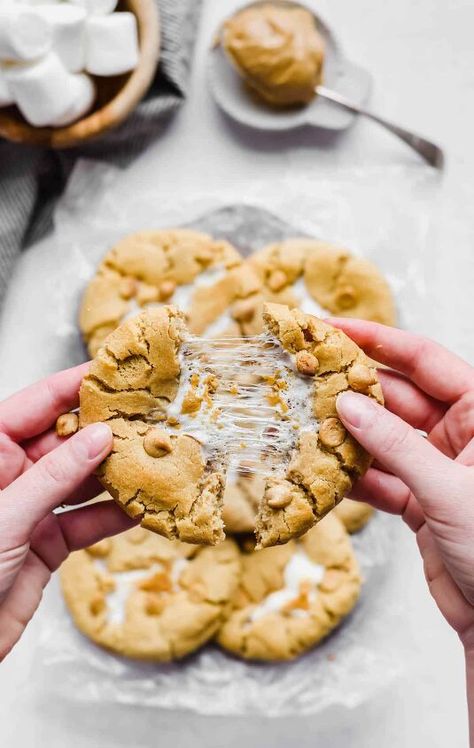 These Stuffed Fluffernutter Cookies have a soft peanut butter dough filled with creamy peanut butter and gooey marshmallow. The dough gently cracks open to expose the marshmallow! These cookies are TO die for. They're just slightly crisp on the edges, and the rest of the cookie is oh so soft. Let's not forget the chewy marshmallow strewn throughout the center, and bits of the peanut butter provide an extra punch of flavor.Adam asks me every other day to make them. Adam's brother was… Peanut Butter Marshmallow Cookies, Peanut Butter Dough, Fluffernutter Cookies, Cookies With Peanut Butter, Homemade Peanut Butter Cookies, Marshmallow Cookies, Peanut Butter Marshmallow, Peanut Butter Cookie Dough, Butter Tarts