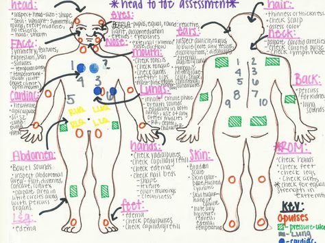 Head to Toe Assessment!!! Made by Sara Smith Geriatric Nursing, Nursing Cheat Sheet, Nursing Information, Nursing Cheat, Nursing Board, Nursing Assessment, Nursing Mnemonics, Nursing School Survival, Fundamentals Of Nursing