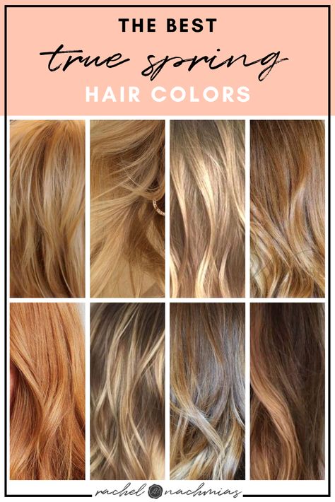 Best Hair Color For True Spring, Best Hair Colors For Spring Skin Tone, Spring Color Analysis Hair, House Of Colour Spring Hair, Hoc Spring Hair Color, Spring Color Palette Hair Colors, Hoc Spring Hair, Hair Colors For Spring Skin Tones, Spring Season Hair Color