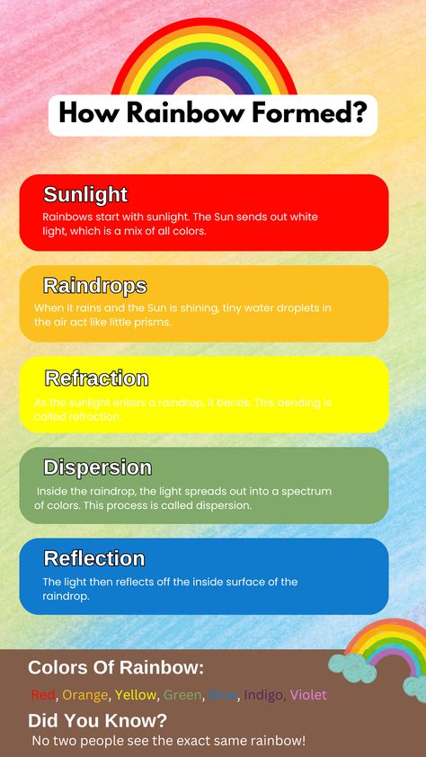 Learn how rainbows are formed in a fun and simple way!#RainbowMagic#ScienceForKids #FunLearning#KidsScience#STEMEducation #LearningIsFun#ColorfulScience#RainbowFacts #NatureScience How Are Rainbows Formed For Kids, How Rainbows Are Formed, Rainbow Anchor Chart, Rainbow Facts, Geography Project, School Break, Chart For Kids, Rainbow Magic, Library Programs