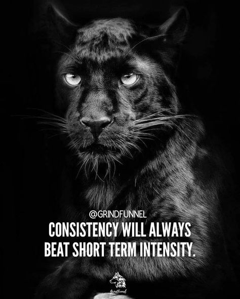 GRINDFUNNEL™| BUSINESS | QUOTE on Instagram: "Stay consistent 👊🏽🐺 Love our content? Become a part of this community. Follow ➡️ @grindfunnel @grindfunnel ⬅️ Follow ➡️ @grindfunnel…" Black Panther Theme, Panther Quotes, Motivational Quotes Poster, Digital Art Programs, Quotes Poster, Motivational Quote Posters, Black And White Decor, Art Prints Quotes, Star Images