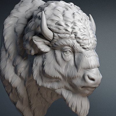 Bison Tattoo, Bison Head, Buffalo Animal, Buffalo Head, Bison Art, Angry Animals, Digital Sculpture, American Bison, Head Sculpture