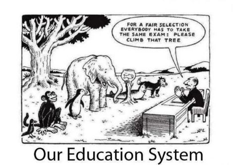 This cartoon shows a flaw the education system in the U.S. This ad uses a fish, elephant, seal, and other animals as symbols of people having different learning styles. This, however, is exaggeration because they use multiple species in this ad, whereas in reality, humans are one species with different learning abilities. An example of convention is how the animals are lined up in front of the human giving the instructions. It shows how they are in a class paying attention to the teacher. Learning Disorder, Education System, Teacher Humor, Education Quotes, Albert Einstein, The Master, A Tree, Logic, Wise Words