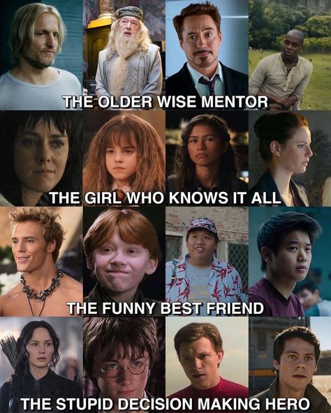 Hunger Games Harry Potter, Disney And Harry Potter, Book Fandoms Unite, Fandom Quotes, Hunger Games Memes, Funny Harry Potter Jokes, Maze Runner Funny, Hunger Games Humor, Harry Potter Feels