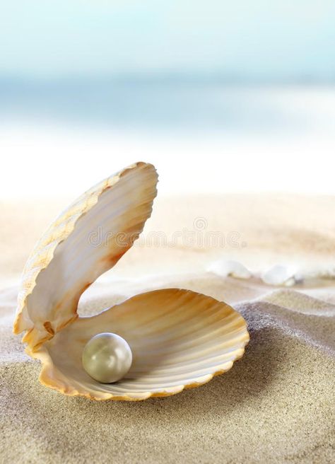 Shell with a pearl stock photo. Image of lagoon, destinations - 18479050 Pearl Images, Seashell Wall Art, Ocean Wallpaper, Airbrush Art, Beach Wallpaper, Pasta Salad Recipes, Korn, Sea Animals, 그림 그리기