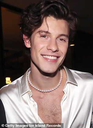 A little jewelry: Singer Shawn Mendes has also worn them on multiple occasions (pictured i... Shawn Mendes Earrings, Guys Wearing Pearls, Men Wearing Jewelry, Men With Earrings, Men Wearing Pearls, Pearl Necklace Outfit, Mens Pearl Necklace, Pearl Necklace Men, Mens Accessories Necklace