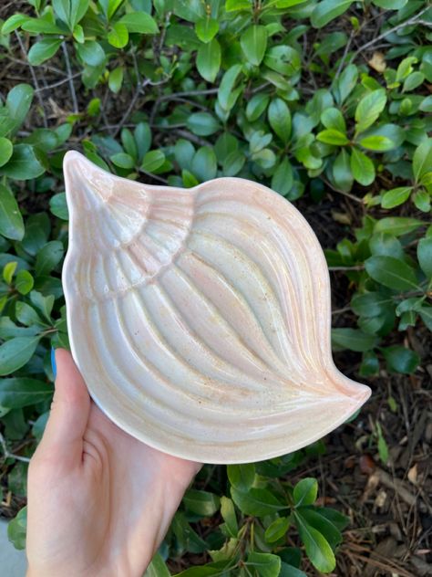 Shell Ceramic Plate, Air Dry Clay Shell Dish, Seashell Ceramics, Jellyfish Pottery, Seashell Pottery, Clay Seashell, Shell Pottery, Shells Diy, Clay Diy Projects