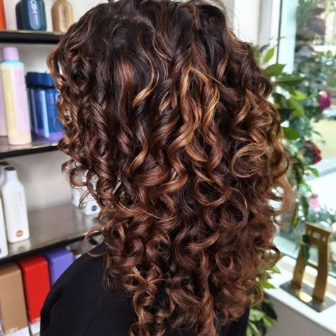 Highlight For Dark Brown Curly Hair, Dark Auburn Lowlights, Brown Hair With Blonde And Red, Curly Hair With Copper Highlights, Dark Curly Hair Highlights, Highlights Brown Curly Hair, Dark Brown Hair With Highlights Curly, Copper Highlights On Brown Hair Curly, Curly Hair Colour Ideas