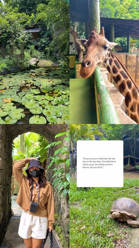 Zoo Instagram Story Ideas, Aesthetic Zoo Pictures, Zoo Asthetic Picture, Zoo Pose Ideas, Zoo Instagram Pictures, Zoo Instagram Story, Zoo Photoshoot Ideas, Zoo Pictures Ideas, Zoo Photo Ideas