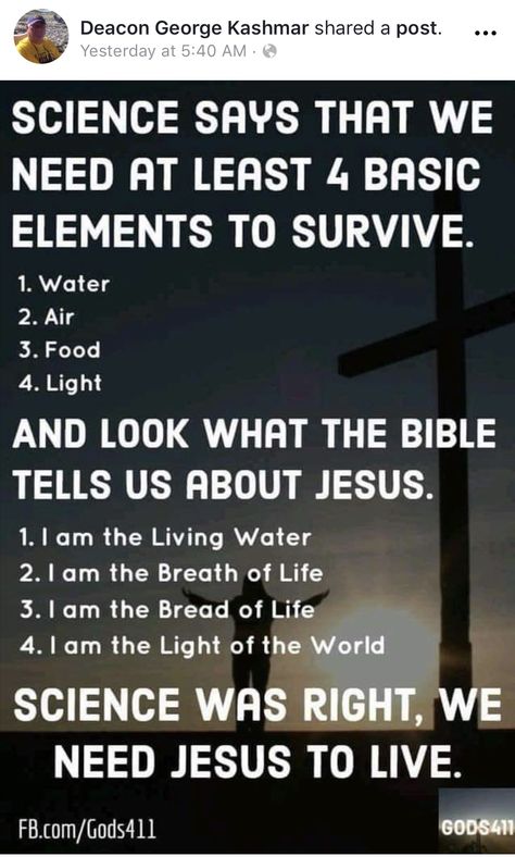 Bread Of Life, Breath Of Life, Jesus Christ Quotes, Christ Quotes, 1 Am, Church Quotes, 2 Am, About Jesus, Best Pics