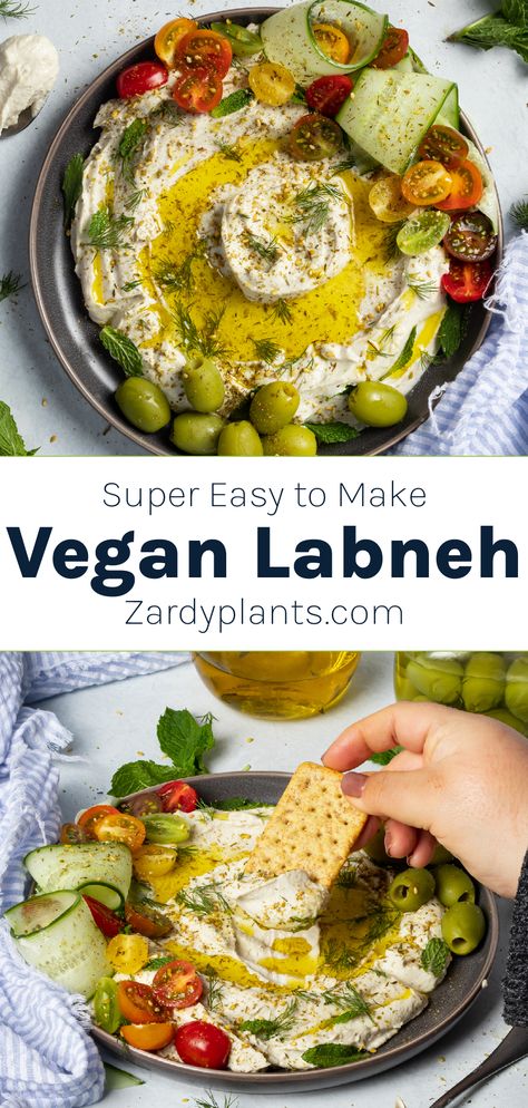 Vegan Labneh Recipe, No Cheese Appetizers Dairy Free, Labneh Recipe Ideas, Labneh Board, Labneh Sandwich, Vegan Labneh, Vegan Spices, Easy Vegan Cheese Recipe, Vegan Yogurt Recipe