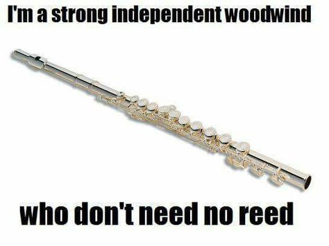 Lol. Flute Humor, Flute Jokes, Flute Memes, Band Puns, Lucky Ducks, Marching Band Jokes, Flute Problems, Funny Band, Marching Band Memes