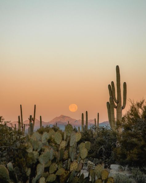 Avatar Film, Arizona Aesthetic, Desert Party, Character Vibes, Desert Aesthetic, All The Bright Places, Western Desert, Desert Photography, Moon Setting