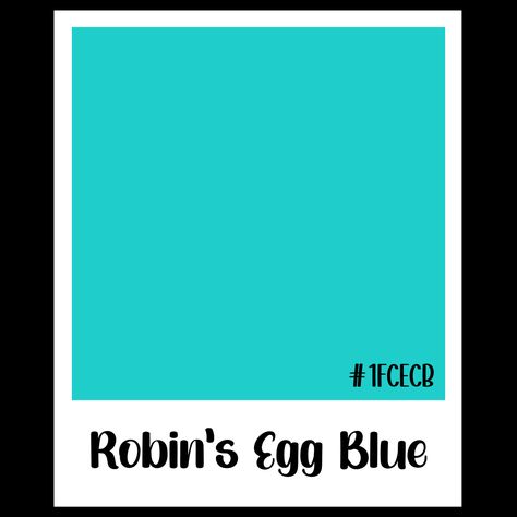 Robin's Egg Blue, Romantic Colors, Color Crush, Robins Egg, Live Colorfully, Robins Egg Blue, Robins, Reign, Color Inspiration