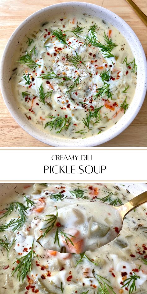 Healthy Dill Pickle Soup, Easy Dill Pickle Soup, Creamy Dill Pickle Soup Recipe, Dill Pickle Casserole, Dill Potato Soup, Polish Dill Pickle Soup, Pickled Soup, Creamy Dill Pickle Soup, Pickle Soup Recipe