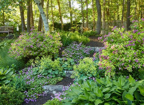 Gardening On A Slope Landscaping, Hillside Herb Garden, Planting On Rocky Slope, Shaded Slope Landscape, Gardening On A Hillside, Landscaping A Slope With Rocks, Shady Slope Landscaping, Hillside Planting Ideas, Woodland Slope Garden