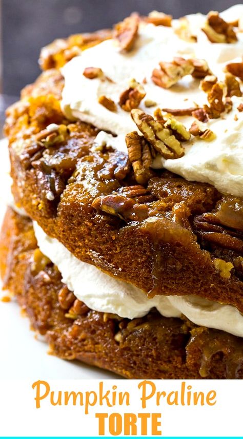 Pumpkin Praline Cake Pumpkin Torte, Pumpkin Praline, Pumpkin Crockpot, Pecan Pie Cake, Sweet Potato Pie Southern, Praline Cake, Torte Recipe, Pecan Cake, Thanksgiving Food Desserts