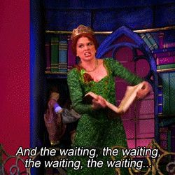 New trending GIF on Giphy. wait waiting shrek impatient anticipation princess fiona impatience and the waiting. Follow Me CooliPhone6Case on Twitter Facebook Google Instagram LinkedIn Blogger Tumblr Youtube Theater Kid Memes, Musical Theatre Humor, Theater Kid Problems, Theatre Humor, Theatre Jokes, Musicals Funny, Theatre Problems, Sierra Boggess, Theatre Quotes