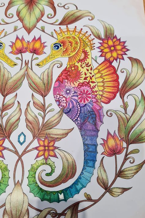 Johanna Basford Coloring Book Pages, Lost Ocean Coloring Book Finished, Lost Ocean Johanna Basford, Johanna Basford Lost Ocean, Zoo Animal Coloring Pages, Lost Ocean Coloring Book, Ocean Coloring Pages, Joanna Basford Coloring, Gardens Coloring Book