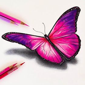 Pink Butterfly by Sallyann Butterfly Drawing Images, Colorful Butterfly Drawing, Pencil Realism, Coloured Drawings, Drawing Butterflies, Yellow Moth, Easy Butterfly Drawing, Beauty Drawing, Prismacolor Art