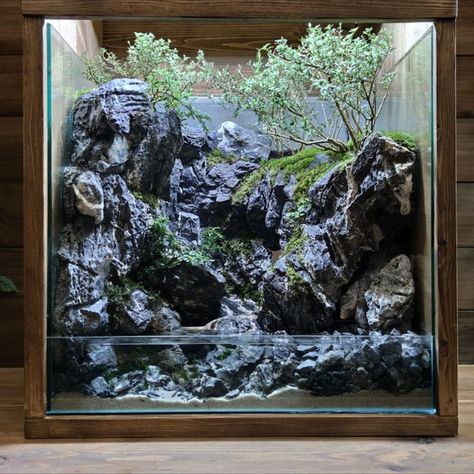 Project tittle : making forest river check out the full DIY video on my youtube channel on this link https://youtu.be/N2FBndlBisY #paludarium #diorama #terrarium #diy #arts & crafts #miniature model #aquarium #seiryu stone #Aquaterrarium #aquascape #diy waterfall #moss #bonsai #art & craft #planted aquarium#aquarium #mugenwoong Paludarium Waterfall Aquascaping, Waterfall Paludarium, Vivarium Waterfall, Paludarium Waterfall, Terrarium Waterfall, Aquascape Diy, Paludarium Ideas, Diorama Terrarium, Diy Stone Wall