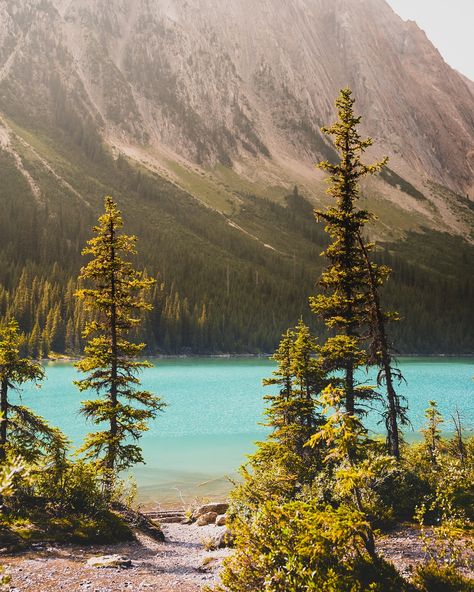 A highlight from our time in Yoho National Park, just to the west of Banff. We were thrilled to find out about this incredible alpine lake in Yoho NP, which is a pretty accessible day hike from the main road through the park and a short drive to the campgrounds. We walked up the moderate climb to the lake in the late afternoon, sharing the trail with a few others. Once we arrived at the shoreline we quickly found a secluded cove away from the others. The water was cold and refreshing (a... Yoho National Park, Alpine Lake, Late Afternoon, Day Hike, The Park, Climbing, National Park, Maine, National Parks