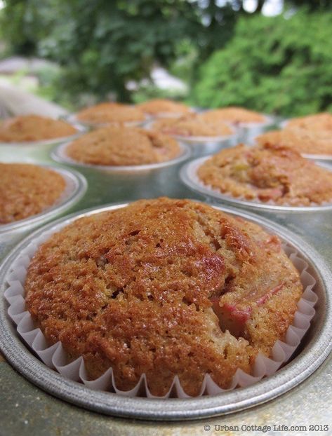 Bran Muffins Healthy, Banana Bran Muffins, Bran Muffin Recipes, Rhubarb Muffins, Rhubarb Desserts, Urban Cottage, Bran Muffins, Healthy Muffin Recipes, Muffin Tin Recipes