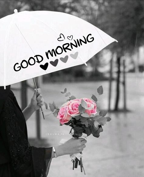 Good Morning Rainy Day, Gud Morning Images, Rainy Day Photos, Gud Morning, Good Night Massage, Love Good Morning Quotes, Rainy Morning, Beautiful Good Night Images, Eid Greetings