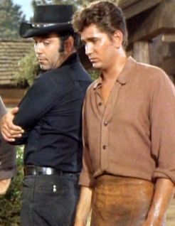 The Artist’s Touch (by pjb) – Bonanza Brand – Fanfiction Library Fanfiction Sites, Male Harem, Adam Cartwright, Angel Light, Bonanza Tv Show, Brand Stories, Pernell Roberts, Sundance Kid, Michael Landon