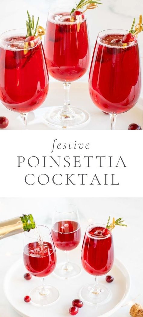 If you’re looking for the prettiest, most festive cocktail around, look no further than this fabulous poinsettia cocktail! With its bold, deep red color and all the classic flavors of the holidays, it’s an unforgettable Christmas drink you’re going to love. It’s got the tart, sweet tang of cranberry juice, balanced with orange liqueur and sparkling champagne. It’s a fun, special drink that will give you a real dose of holiday spirit. Poinsettia Punch Recipe Champagne, Christmas Cocktails With Fireball, Poinsettia Drink Champagne, Signature Holiday Drinks, Italian Christmas Cocktails, Pointsetta Cocktail, Christmas Cocktails With Prosecco, Red Christmas Drink, Christmas Drinks With Prosecco