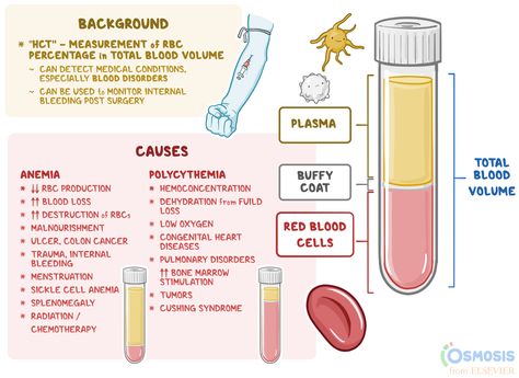 Hematocrit (HCT) refers to the proportion of red blood cells (RBCs) in an individual’s blood Phlebotomy Study, Blood Components, Cushings Syndrome, Studying Medicine, Vet Medicine, Nursing Student Tips, Medical Student Study, Medical Laboratory Science, Nursing School Studying