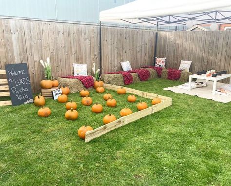 Hay Bales Seating For Party, Pumpkin Patch Backdrop Ideas, Great Pumpkin Birthday Party, Harvest Festival Birthday Party, Fall Bday Party Ideas 1st Birthdays, Fall Party For Toddlers, Fall Birthday Games For Kids, Pumpkin Patch Party Favors, Fall Harvest First Birthday Party