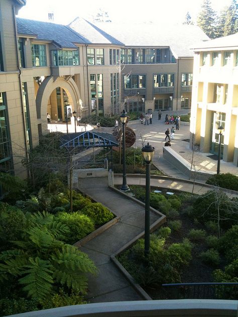 University of California - Berkeley, Haas School of Business. Photo:  Alan Cordova, via Flickr Berkeley Aesthetic, Berkley University, West Coast University, Berkeley University, Cal Berkeley, California School, Michael Graves, University Architecture, Berkeley California