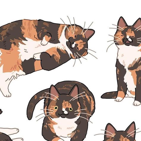 Tortoise Cat Drawing, Tortoise Shell Cat Drawing, Tortoiseshell Cat Drawing, Tortoiseshell Cat Art, Tortie Cat Drawing, Tortoise Shell Cats, Tortie Cat Art, Tortoiseshell Cat Tattoo, Tortoiseshell Cat Aesthetic