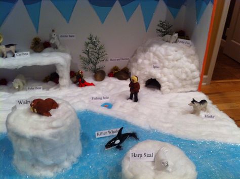 Arctic tundra diorama Walrus Diorama, Tundra Diorama, Artic Habitat, Biome Project Ideas, Shoebox Habitat, Tundra Ecosystem, Tundra Project, Polar Habitat, Ecosystems Diorama