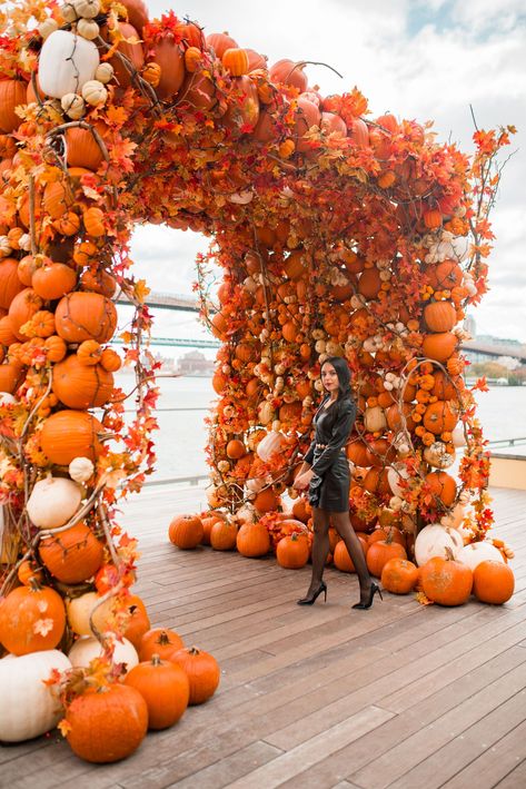 Instagrammable Nyc, Pumpkin Patch Business, Fall Store Displays, Fall Photography Ideas, Pumpkin Arch, Fall Poses, Fall Festival Decorations, Fall Photo Ideas, Fall Nyc