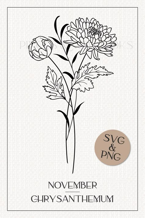 Birth Flower For November, November Flower Drawing, November Birth Flowers Tattoo, Birth Flower Illustration, Birth Flower November Tattoo, November Tattoo Ideas Birth Month, November Birth Flower Drawing, Chrysanthemum Line Drawing, Mum Flower Drawing