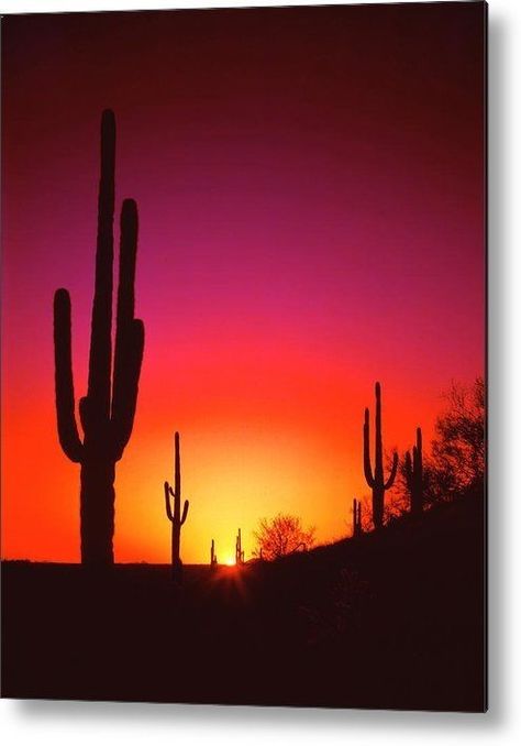 Desert Painting, Desert Sunset, Sunset Painting, The Desert, Summer Season, Golden Hour, Sunset Photography, Art Sur Toile, Summer Time