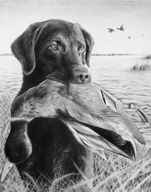 Dog with duck drawing Hunting Dog, A Drawing, A Dog, Hunting, Portfolio, Drawings