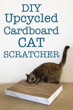 DIY Upcycled Cardboard Cat Scratcher: Reuse all those shipping boxes into this cute cat scratcher your pets are sure to love! Diy Cat Scratcher, Chat Diy, Cardboard Cat Scratcher, Cardboard Cat, Diy Cat Toys, Cat Scratchers, Cat Spray, Homemade Cat, Cat Scratcher