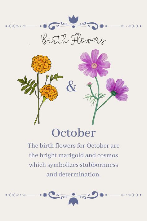 Birth Flower Of October, Oct Flower Tattoo, Flower For October Birth Tattoo, Marigold Tattoo Meaning, October November Birth Flower Tattoo, Flowers And What They Symbolize, Birth Month Flower October, Cosmo Marigold Flower Tattoo, Birth Flower For October Tattoo