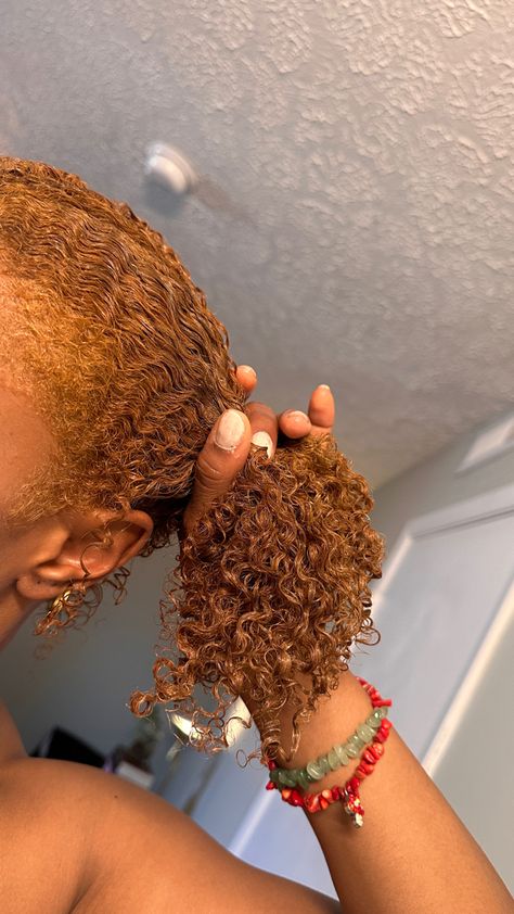 Ginger Type 4 Hair, Dyed Braids, Diy Hair Coloring, Curly Hair Color, Short Dyed Hair, Dyed Curly Hair, Pretty Braids, Afro Curls, Honey Brown Hair