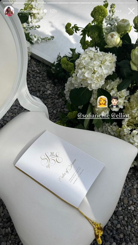 Sofia Richie Wedding, Elliot Grainge, Summer Ceremony, Brazil Culture, Invite Suite, Dream Wedding Decorations, Sofia Richie, June Wedding, Welcome To Our Wedding