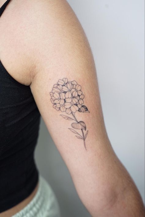 Tiny tattoo, mini tattoo, small tattoo, floral tattoo, flower tattoo Hydrangea Tattoo Ankle, Hygrandea Tattoo, Hydrangea Tattoo Black And White, Small Hydrangea Tattoo, Hydrangea Tattoo Sleeve, Hydrangea Tattoo Black, Hydrangea Flower Tattoo, Hydrangea Tattoo Small, Hydrangea Tattoos