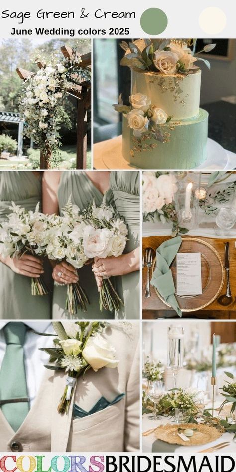 sage green and cream for june wedding color palettes for 2025, sage green bridesmaid dresses, white bridal gown, beige bridegroom suit and sage green tie, cream floral and greenery boutonniere, bouquets, centerpieces, wedding arch decor and wedding cake decor, sage green and cream wedding cake, sage green wedding napkins. #weddingcolors #weddingideas #juneweddings #summerweddings #colsbm #2025 #bridesmaiddresses #greenwedding #sagegreenwedding #sagegreenandcream Sage Green And Cream Wedding, June Wedding Colors, Sage Green Wedding Theme, Cream Bridesmaid Dresses, Wedding Color Schemes Summer, Sage Green Wedding Colors, Sage Green And Cream, Wedding Color Palette Summer, Dark Green Wedding