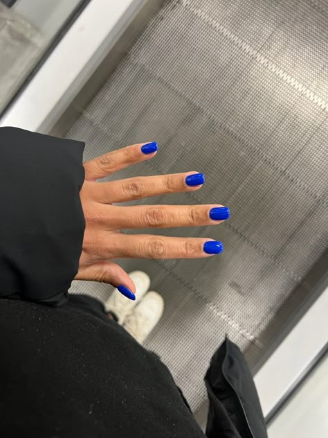 Short Acrilyc Nails, Acrilyc Nails, Neon Blue Nails, Bright Blue Nails, Colourful Nail, Nail Art Bleu, Cobalt Blue Nails, Shellac Nail Colors, Blue Chrome Nails