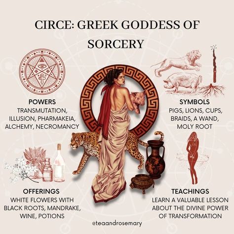 Tea & Rosemary☕️🌱 on Instagram: "Circe: Greek Goddess Of Sorcery⁣ ⁣ Circe is a sorceress and herbalist first referred to as a goddess in Homer’s Odyssey. Circe is yet another feminine entity in Greek mythology that has been demonized for using her magic to stand up for herself and to gain power.⁣ ⁣ Circe is (in my opinion) an ideal goddess for human witches to work with. She's not soft, but she's a great teacher and incredibly powerful sorceress. ⁣ ⁣ 𝗣𝗼𝘄𝗲𝗿𝘀: Transmutation, Illusion, Pharm Circe Goddess, Goddess Magick, Symbole Viking, Dark Goddess, Greek Mythology Gods, Divine Power, Wiccan Magic, Witch Spirituality, Black Roots