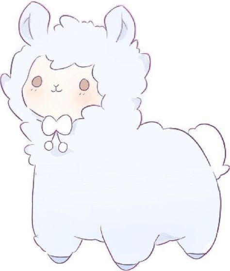 Llama, Alpaca, Sheep, White