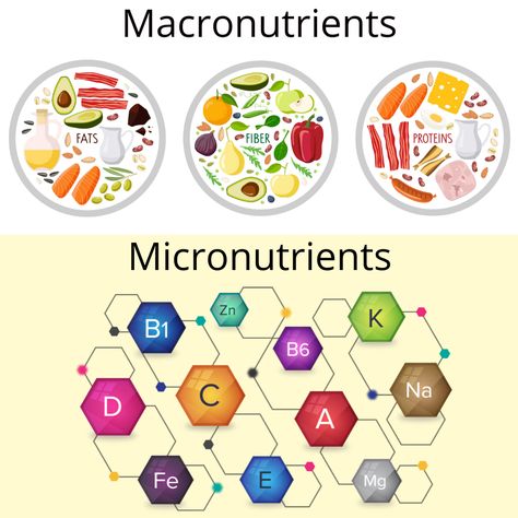 Macronutrients and micronutrients are vital to our nutrition to the body’s metabolism, growth, and development. They provide all the necessary elements to function, grow, repair, and regulate our bodies’ processes. It’s essential to know the right balance between these nutrients we require to work according to our level of energetic needs. Macronutrients And Micronutrients, Micronutrients Foods, Nutrition Poster, Content Photos, Cellular Nutrition, Nutrition Facts Label, Muscular Strength, Best Beard Styles, College Notes